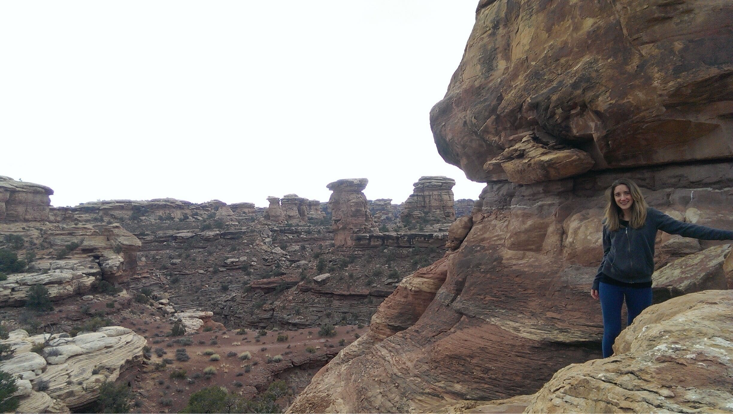 Needles District