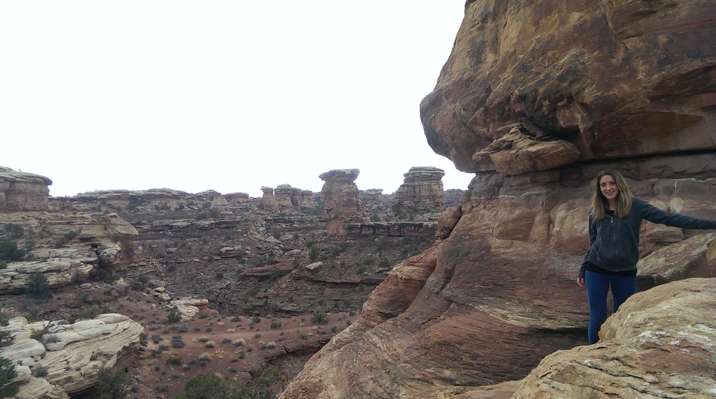 Needles District