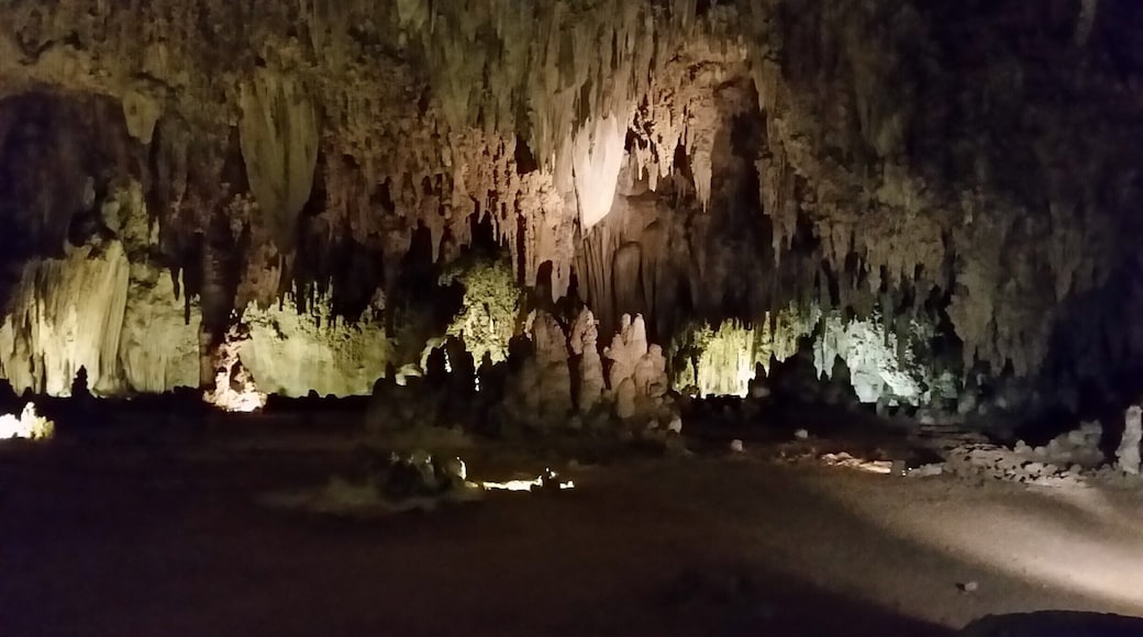 Carlsbad Caverns is an historic US national park. We went on a tour of the King's Room. Be sure to get your tours done early so you can really explore all the cavern entrances open to the public. During certain times of the year, you can watch thousands of bats climbing out of the narrow cave entrances (although not in early April when we were there).
#caverns #geology #nationalpark #rocks #cave #bats