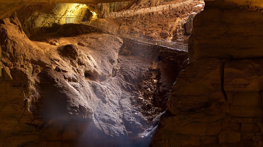 Carlsbad Caverns National Park which includes caves
