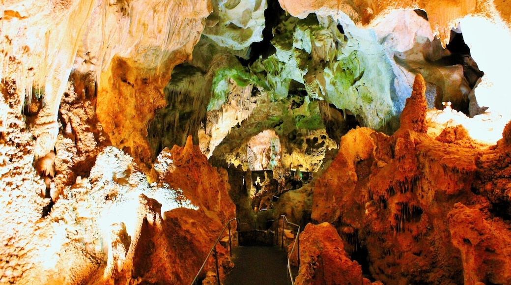 My Bucket list is to explore all 59 national parks in the US. So far, we've gotten to visit over 30. Here's one of them.
This is Carlsbad Caverns, one of the oldest cave systems in the world showcasing fossils from dinosaurs to jaguars to ocean life dating back to when New Mexico looked more like the Florida keys than it does now. This is one of my favorite caves to go into because you aren't required to tag along with a guide.