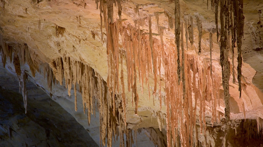 Carlsbad Caverns National Park which includes caves