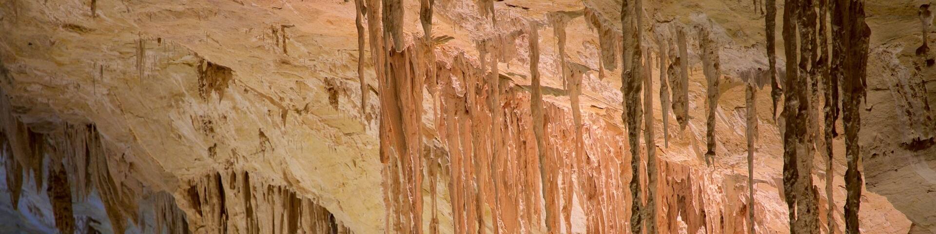 Carlsbad Caverns National Park which includes caves