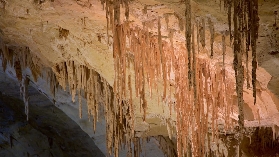 A cave with stalactites hanging from the ceiling.
