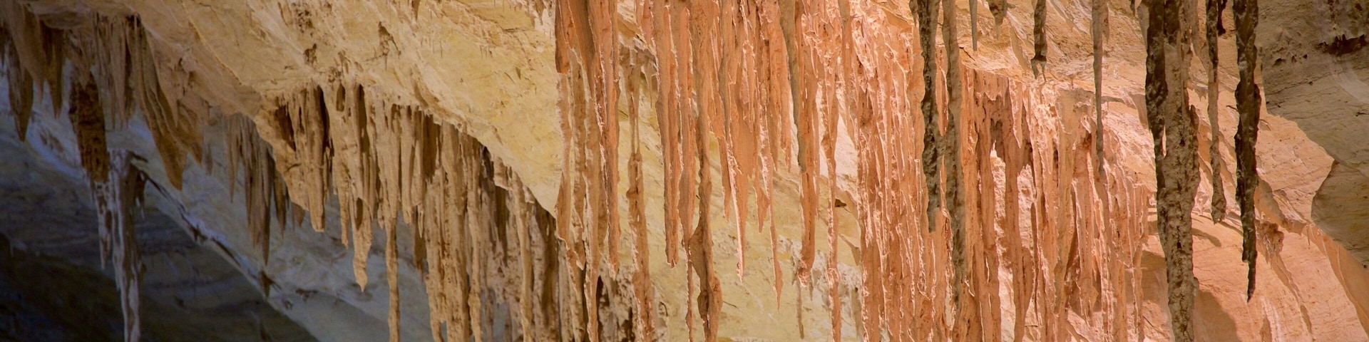 Carlsbad Caverns National Park which includes caves