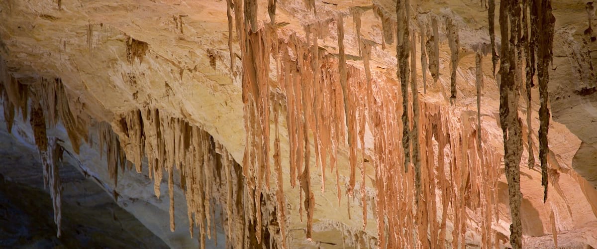 Carlsbad Caverns National Park which includes caves
