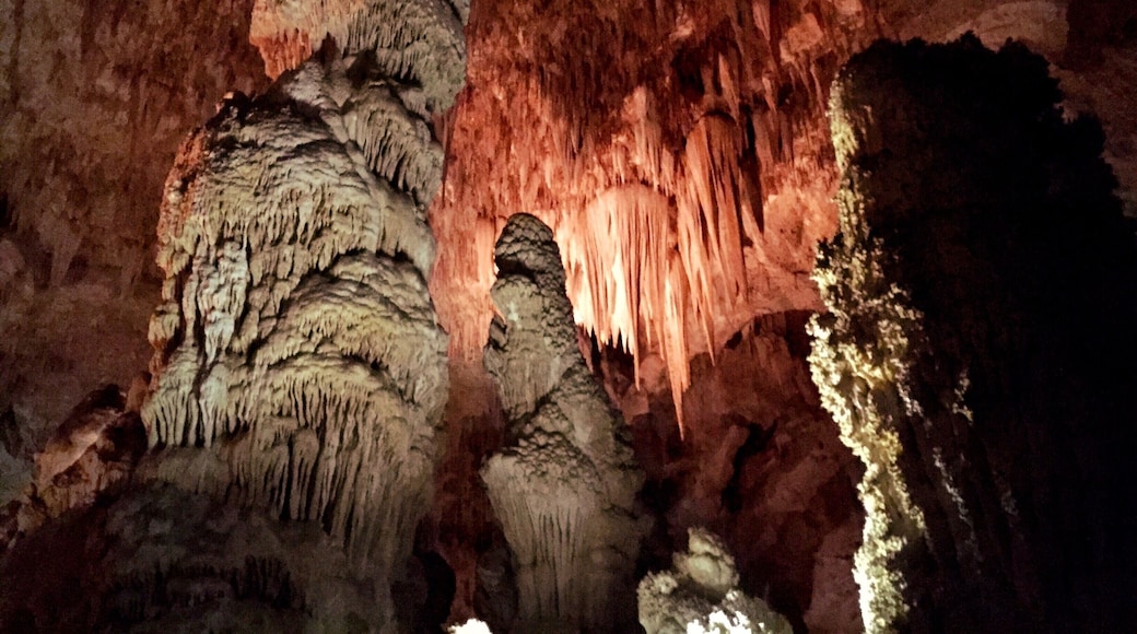 A section of "The Big Room" in the caverns at Carlsbad Caverns National Park in Mew Mexico!!