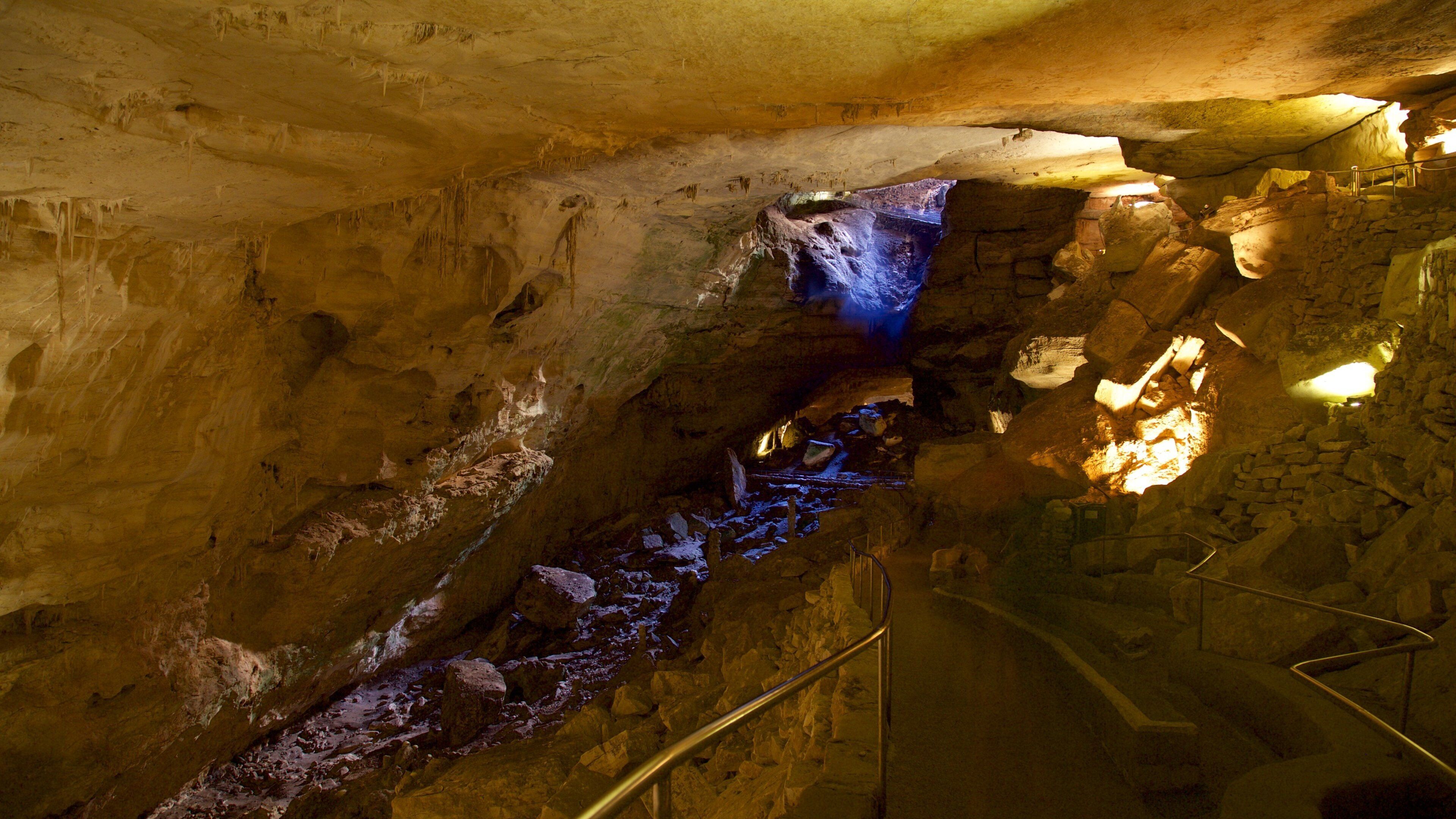 Carlsbad Caverns National Park presenterar grottor