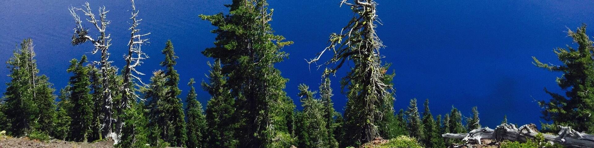 Deep , pure lake , indigo blue in color surrounded by cliffs with a violent volcanic past . It has to be experienced to feel it . #waterlust #craterlake #bluewaters #deepestlake #purest