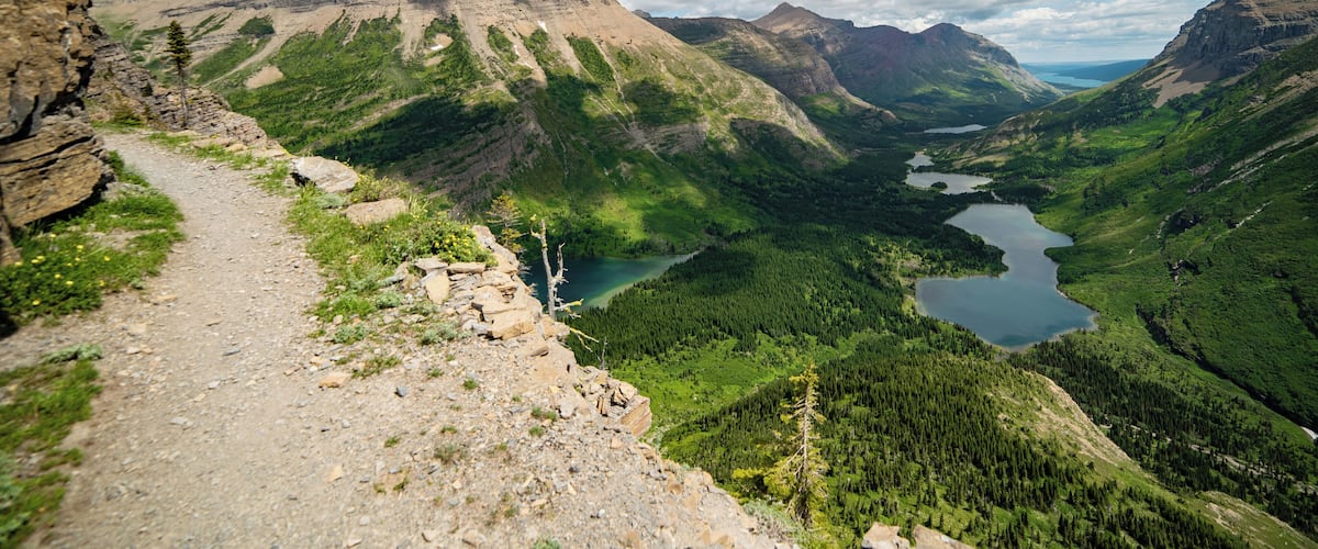 Swiftcurrent Pass is one of Glacier's steepest hikes, with an elevation gain of 2,500 feet in just 7 miles. Popular with backpackers and wildlife photographers, it is not uncommon to find mountain goats amidst the cliffs. If your legs survive to the top, an extra 1.5 steep miles from the pass will take you to the summit of Swiftcurrent Mountain, with one of the best panoramic views in the park.