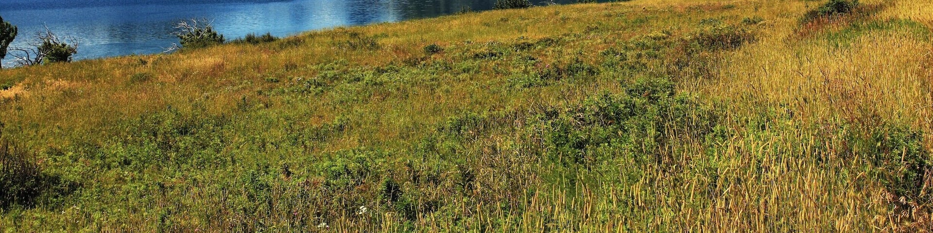 National Parks hold a special place in my heart. I want to go to all American National Parks before I die. I have seen my fair share to date. A few summers ago now I traveled to Colorado to drive through some of the ones I have not seen. I started in Rocky Mountain National park, went to the Tetons, then Yellowstone. At this point one would think I would be saturated with mountains, rivers, and vistas. What awaited me at Glacier National Park is beyond belief. I had never seen vistas more intensely beautiful. For a park that is covered in snow the majority of the year it was full of life. Every single turn in the road looked like something I could only have dreamed of. It was by far, the most beautiful place I have ever been. Words can not describe the majesty of what awaited me when I arrived. Mountains rose before you, close enough you would think they are only a few hundred feet away, but you could see the base and the peaks at the same time. The mountains filled with emerald green grass and snow at the same time. Forests with lichens and moss scattered wherever the sun would hit.
This photo was the very first place I stopped inside the park. The sign was right behind me. To me, this park defines Why we need to keep these places preserved. Even with millions of tourists each year I felt I was alone, looking at these wild landscapes, clean and untouched by any human.
#nationalpark