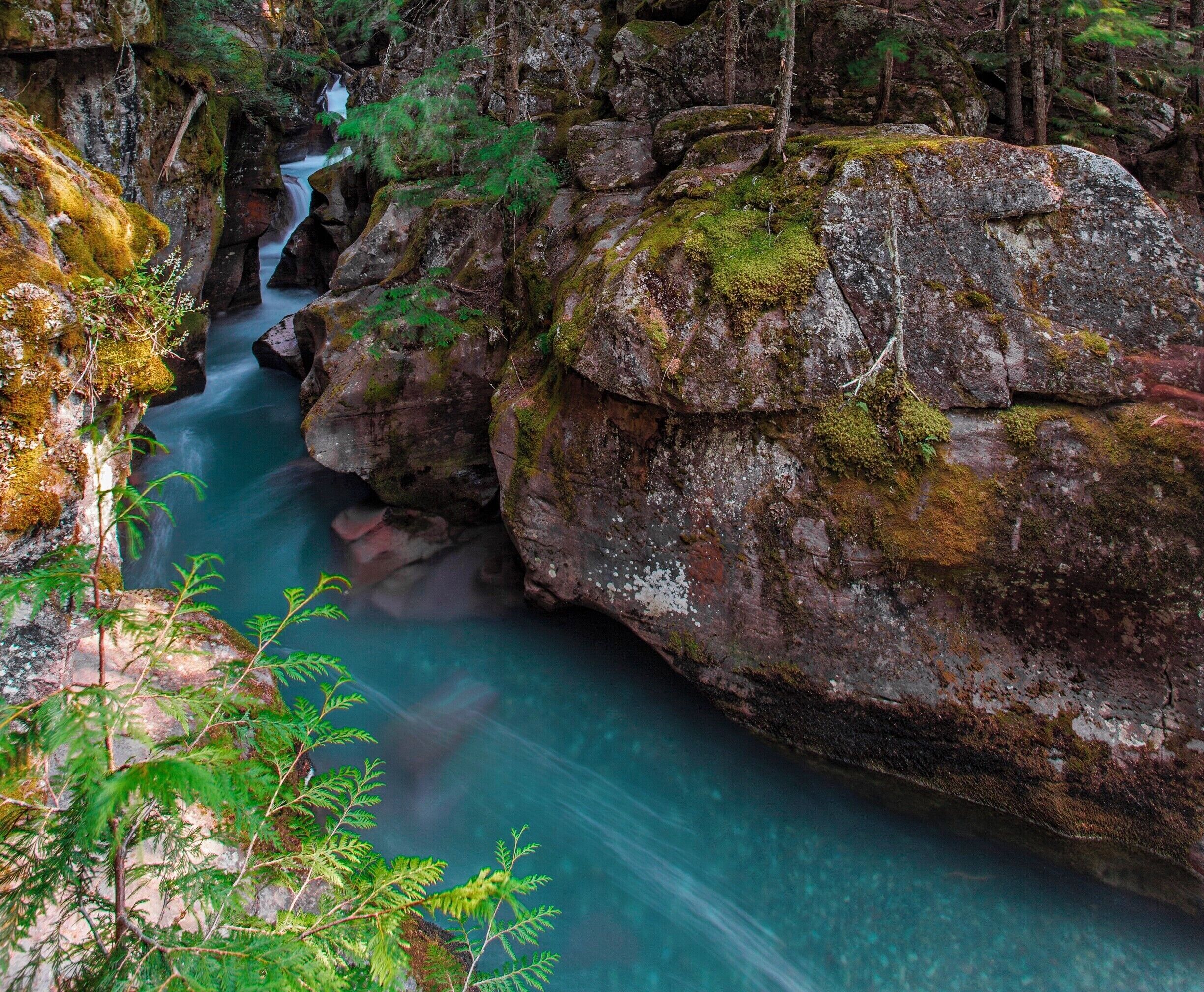 This photo is a version of one on here. I want to say though that this one spot means more to me then almost any other. I had absolutely no idea what lay at the end of the path I took coming to this spot. There was a small parking area and a wooden boardwalk. A sign just said tree exhibit. I walked about a mile down the trail to find this. It may just look like a pretty steam, rocks, and some plants. It is so much more. The water was a deep sapphire blue, from glacial runoff, the forest almost seemed alive with spring life. Have you ever had a moment where you felt you are in the exact right spot and at the right time? I did. I must have stood there for about a hour. I didn’t want to move. I soaked in the colors; sapphire blue water, emerald green leaves and lichens, the greys of the rocks. There was a smell of fresh growth and earthiness. There was a cool breeze, just enough to let you know that even though it was mid summer, spring was just arriving here. Only one other time in my life had I ever felt this way. 
I talked with a ranger who was nearby. He told me this might not be here in 10 years. The glacier that feeds this steam has turned into an ice field. They expect it will be gone within 10 years. The waters will no longer be blue, they will only run after the snow melts in spring. Then the waters will drop down and this stream may be dry during the summer. It hurt, to know that some people may never see this, experience this event. Know what this looked like. The rangers are doing all they can, but one day, this beautiful place will change and this scene will not be here. 

#nationalpark