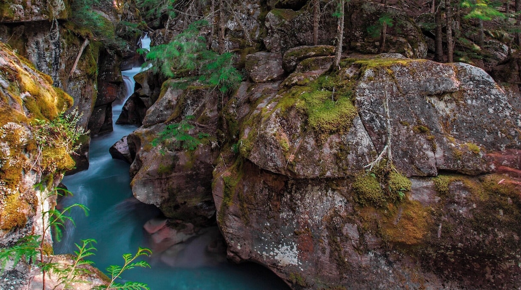 This photo is a version of one on here. I want to say though that this one spot means more to me then almost any other. I had absolutely no idea what lay at the end of the path I took coming to this spot. There was a small parking area and a wooden boardwalk. A sign just said tree exhibit. I walked about a mile down the trail to find this. It may just look like a pretty steam, rocks, and some plants. It is so much more. The water was a deep sapphire blue, from glacial runoff, the forest almost seemed alive with spring life. Have you ever had a moment where you felt you are in the exact right spot and at the right time? I did. I must have stood there for about a hour. I didnât want to move. I soaked in the colors; sapphire blue water, emerald green leaves and lichens, the greys of the rocks. There was a smell of fresh growth and earthiness. There was a cool breeze, just enough to let you know that even though it was mid summer, spring was just arriving here. Only one other time in my life had I ever felt this way.
I talked with a ranger who was nearby. He told me this might not be here in 10 years. The glacier that feeds this steam has turned into an ice field. They expect it will be gone within 10 years. The waters will no longer be blue, they will only run after the snow melts in spring. Then the waters will drop down and this stream may be dry during the summer. It hurt, to know that some people may never see this, experience this event. Know what this looked like. The rangers are doing all they can, but one day, this beautiful place will change and this scene will not be here.
#nationalpark