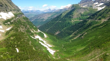 A mountainous landscape with snow patches, dense forests, and a clear blue sky.