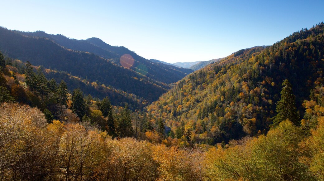 North Carolina Mountains showing tranquil scenes and a sunset