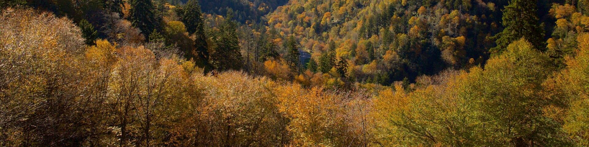 North Carolina Mountains showing tranquil scenes and a sunset