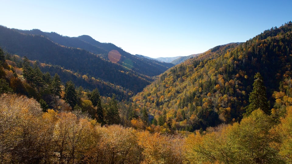 A valley with autumn-colored trees and a clear blue sky.
