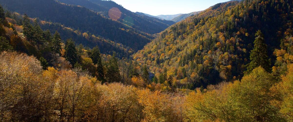 A valley with autumn-colored trees and a clear blue sky.