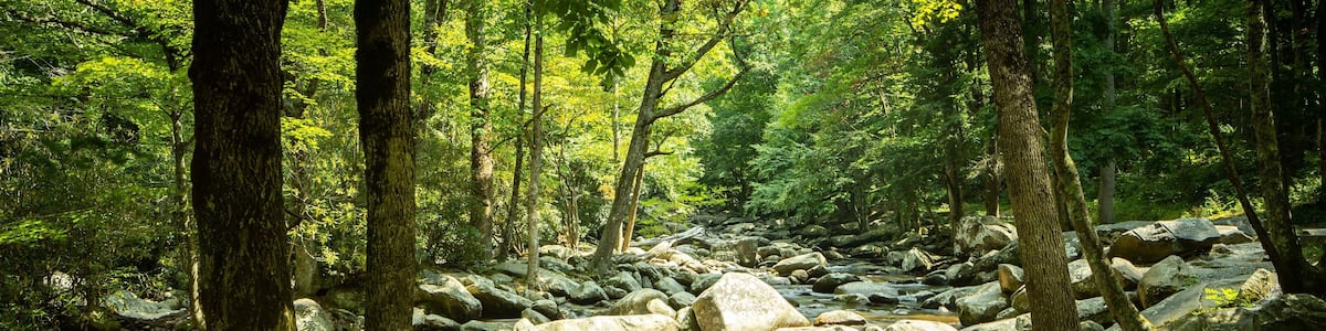 Great Smoky Mountains National Park