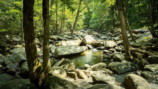 Great Smoky Mountains National Park