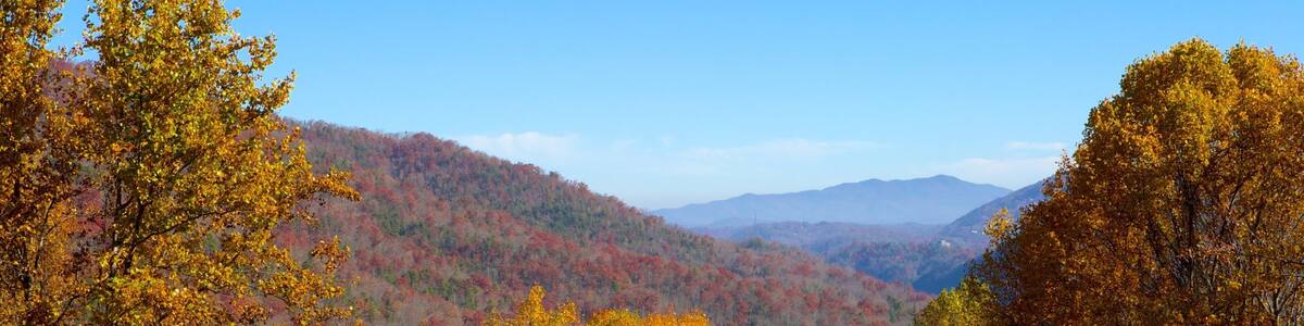 Gatlinburg showing mountains, forests and landscape views