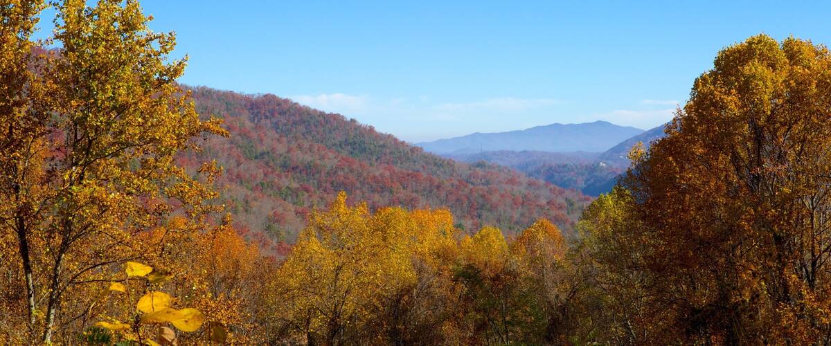 Gatlinburg showing mountains, forests and landscape views