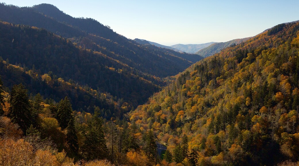 Great Smoky Mountains National Park