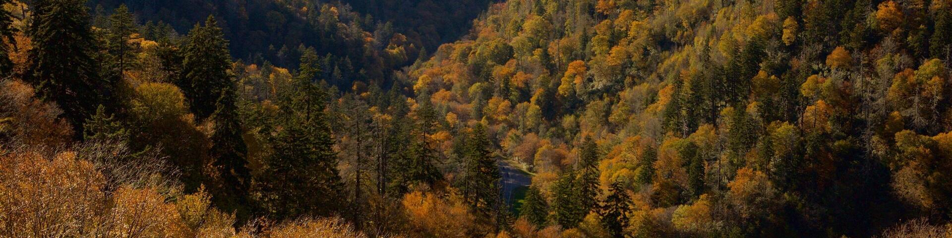 Great Smoky Mountains National Park