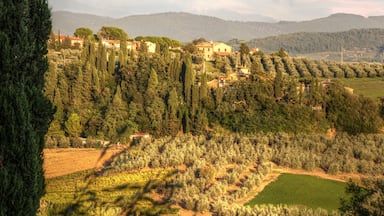Rural landscape of Tuscany, close to Montespertoli, region of Florence