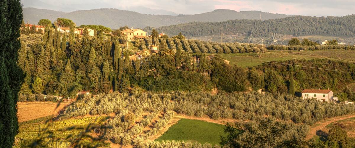 A rural landscape with olive groves, scattered houses, and rolling hills in the background.
