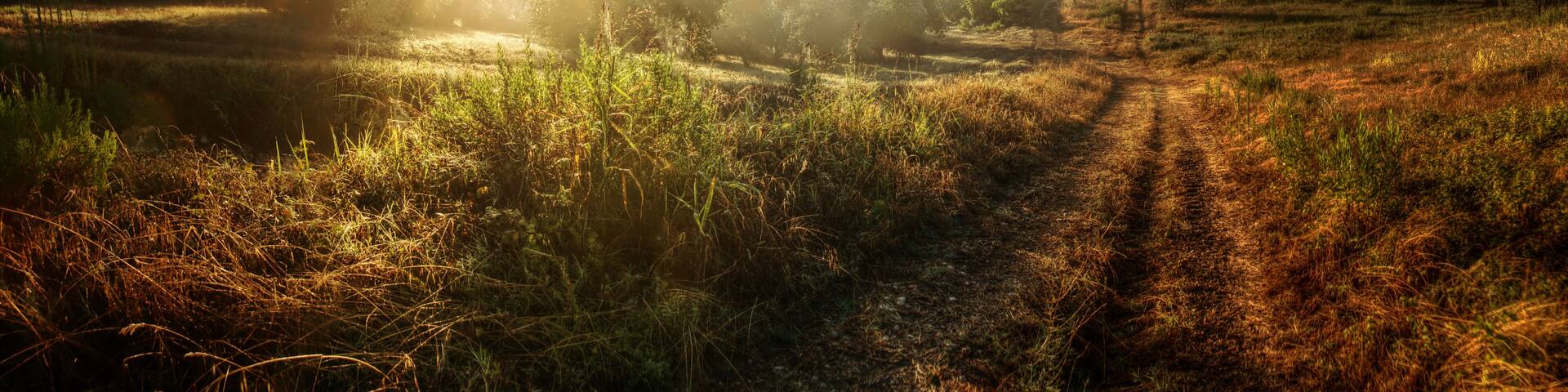 Sunrise over Montespertoli farmland, Tuscan region of Florence
