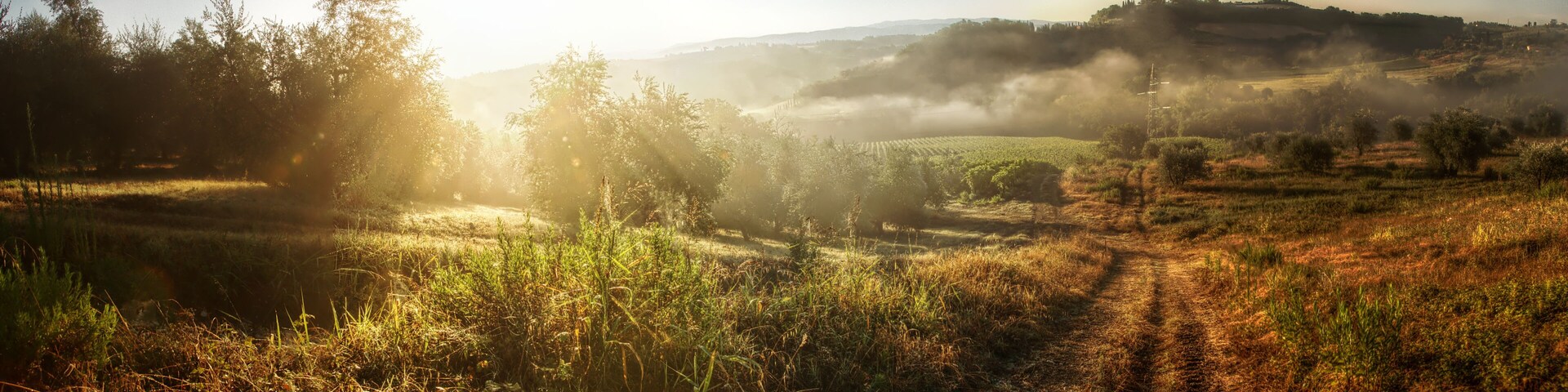 Sunrise over Montespertoli farmland, Tuscan region of Florence