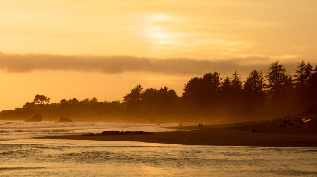 Parc national de Redwood montrant vues littorales et coucher de soleil