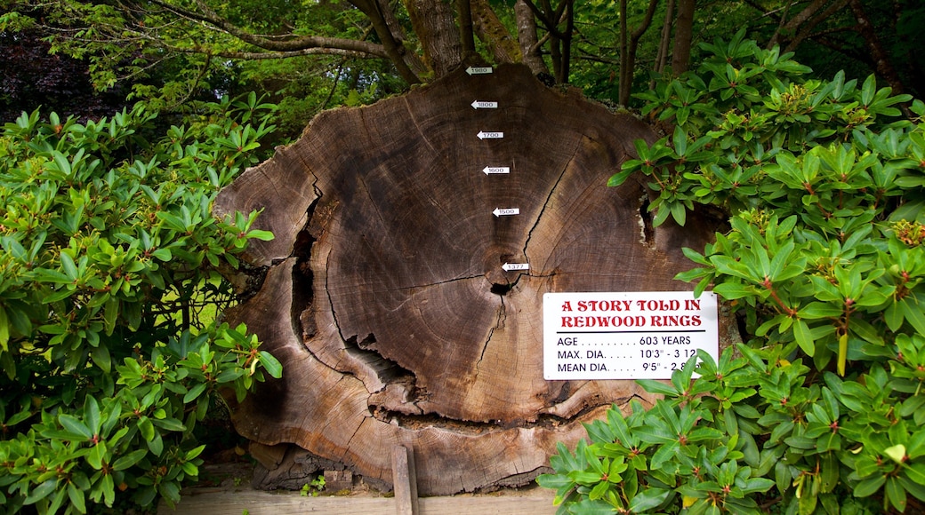 Parque nacional y parques estatales de Redwood