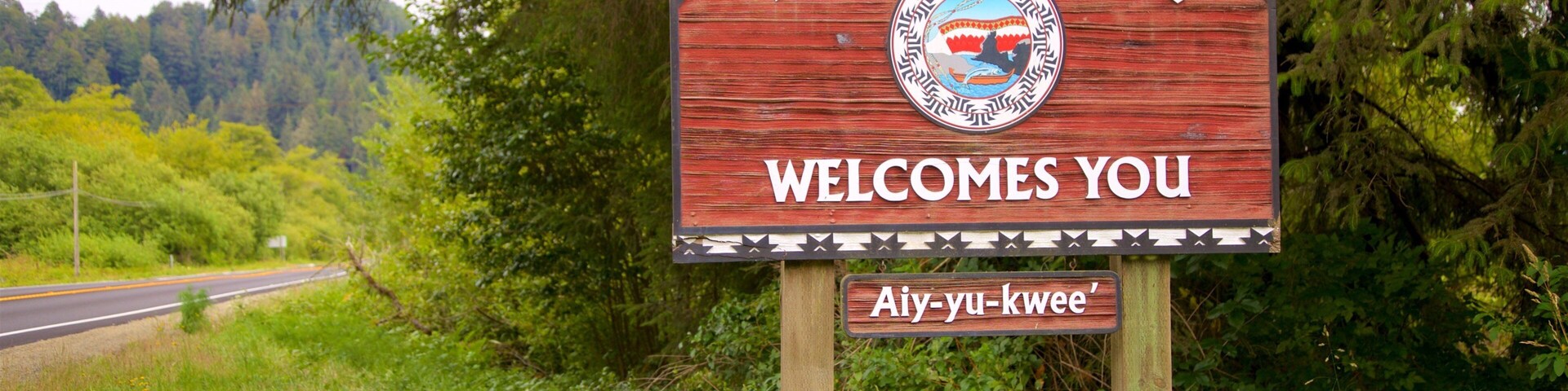 Parque nacional y parques estatales de Redwood ofreciendo escenas tranquilas y señalización