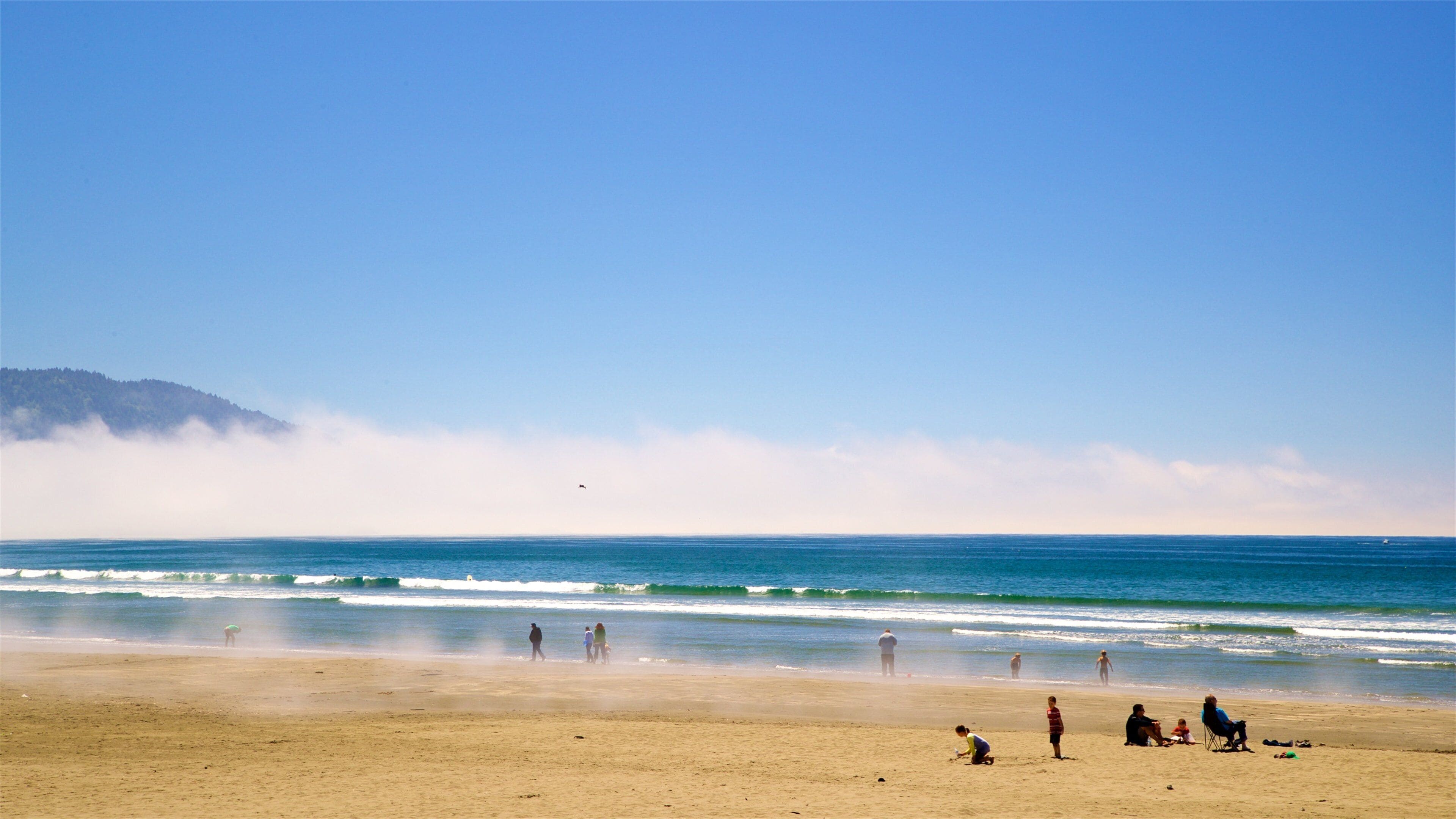 Redwood National and State Parks