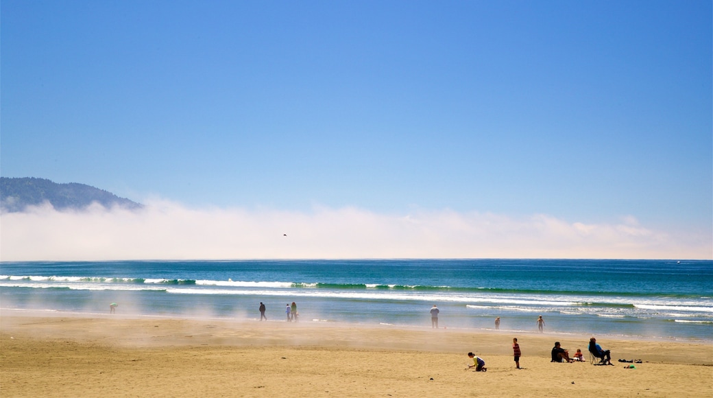 Parque Nacional de Redwood que inclui ondas, uma praia de areia e paisagens litorâneas