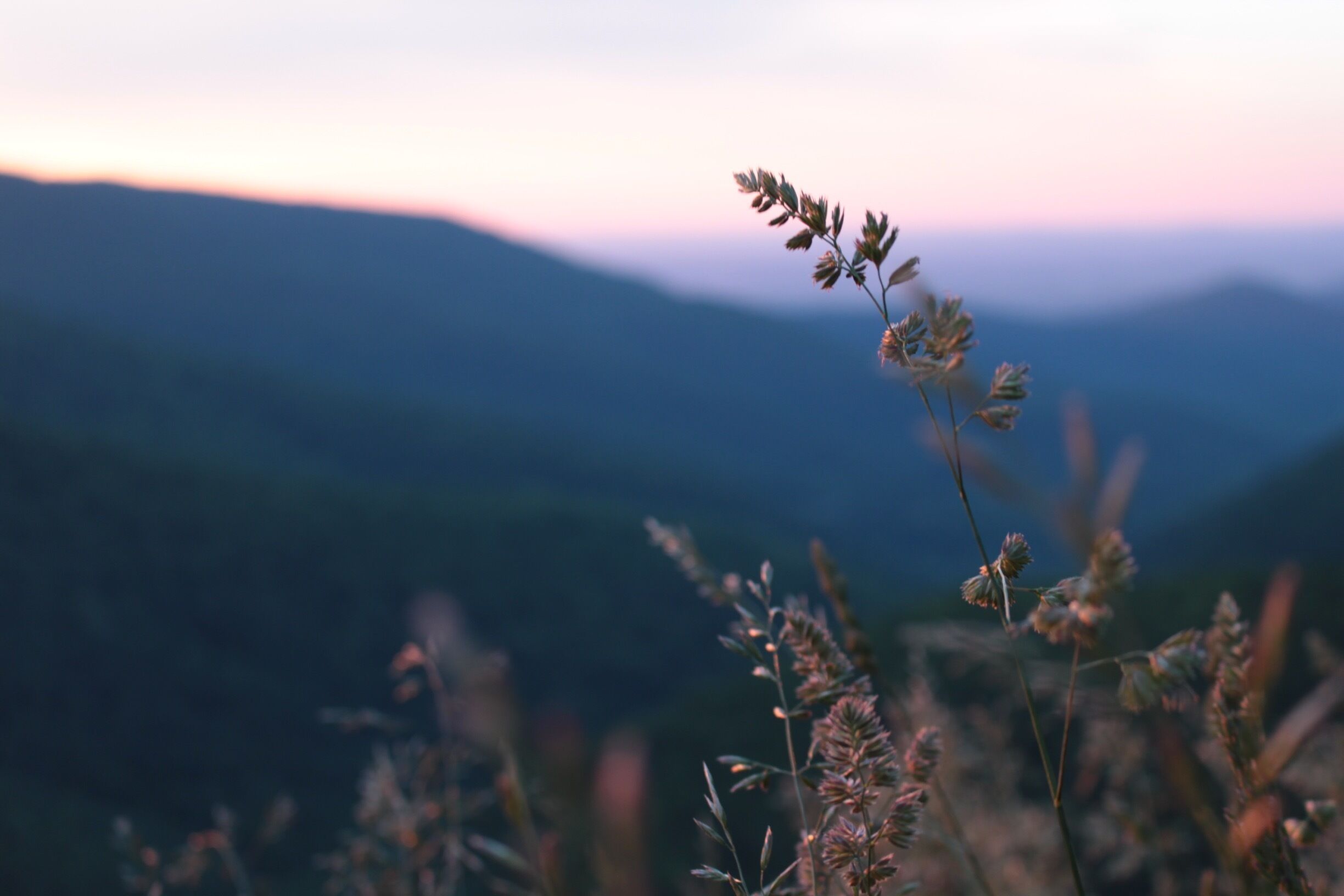 To say I left a piece of my heart in this valley would be an understatement. I'm glad I was able to call this place home for a time. 