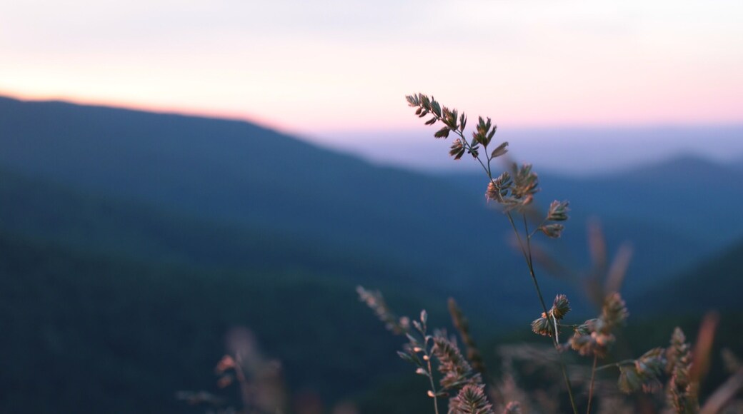 To say I left a piece of my heart in this valley would be an understatement. I'm glad I was able to call this place home for a time.