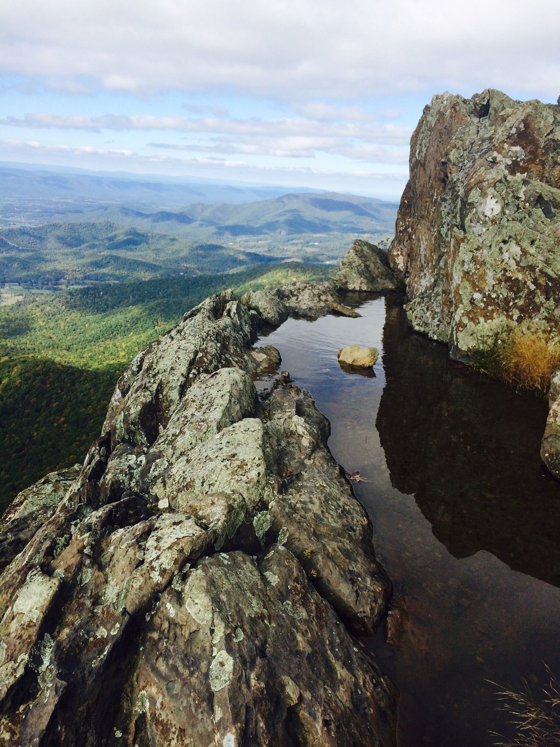 Fall is just peaking through. 