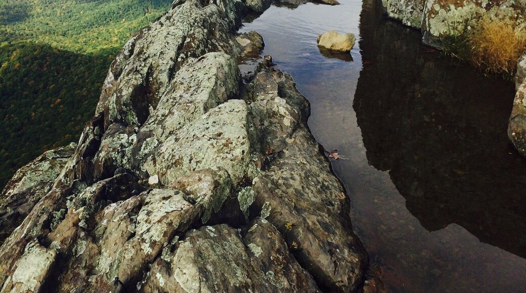 Fall is just peaking through.