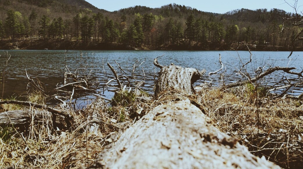 A view of the mountains over the water in Shenandoah, Virginia