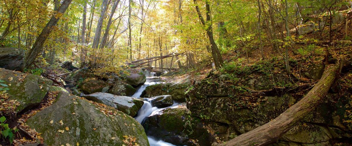 Shenandoah National Park