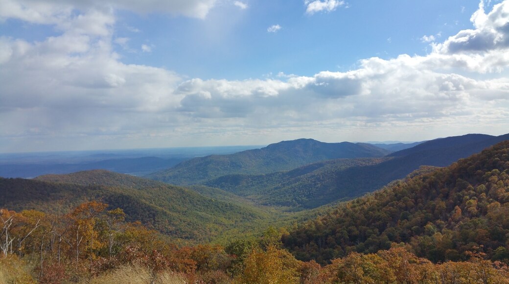 Fall Colors In Shenandoah National Park; Virginia, USA