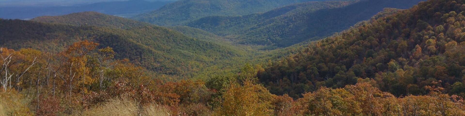 Fall Colors In Shenandoah National Park; Virginia, USA