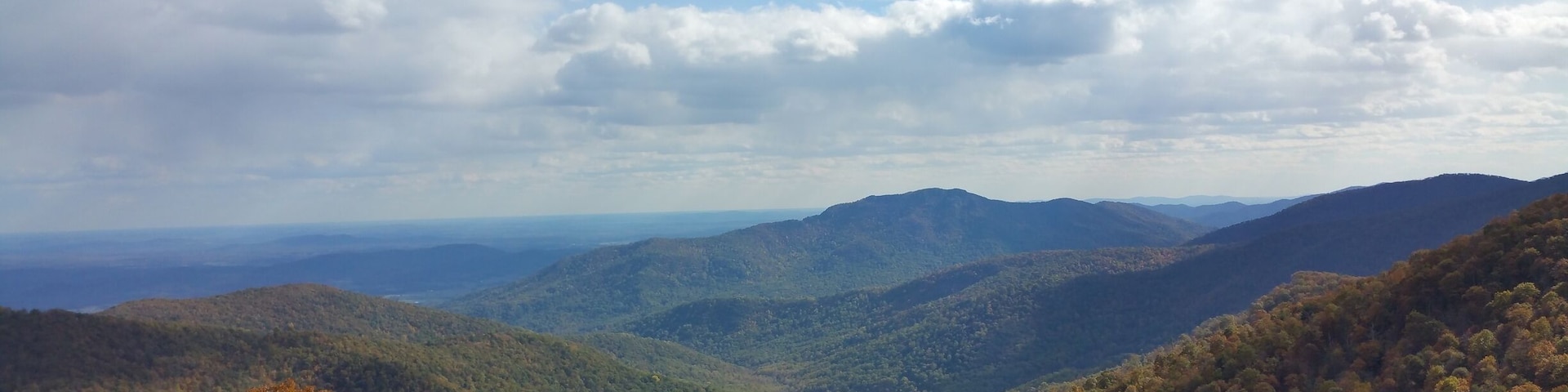 Fall Colors In Shenandoah National Park; Virginia, USA