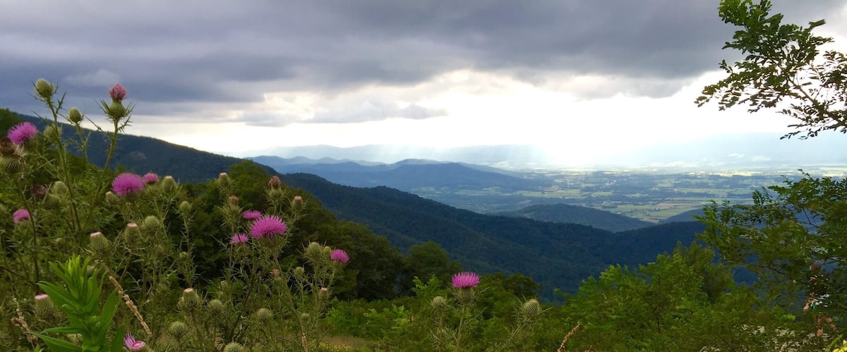 Such beautiful overlooks throughout skyline drive. This picture was taken at an overlook towards the north side of the park.
