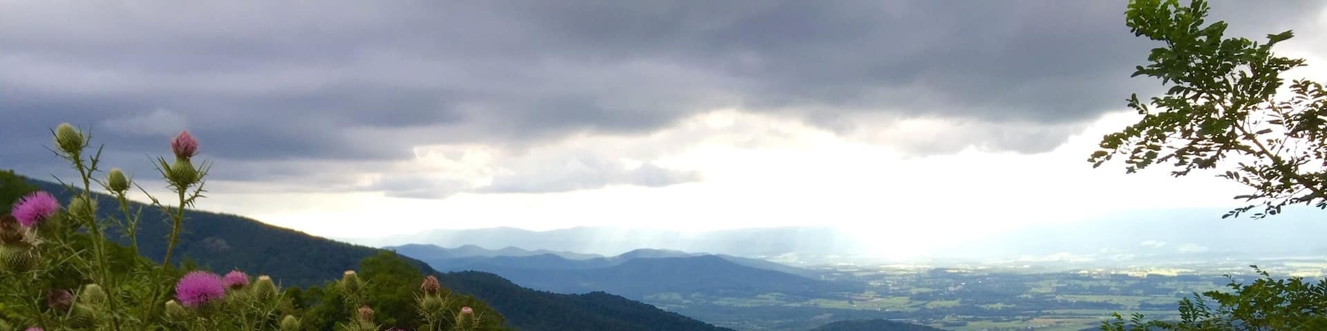 Such beautiful overlooks throughout skyline drive. This picture was taken at an overlook towards the north side of the park.
