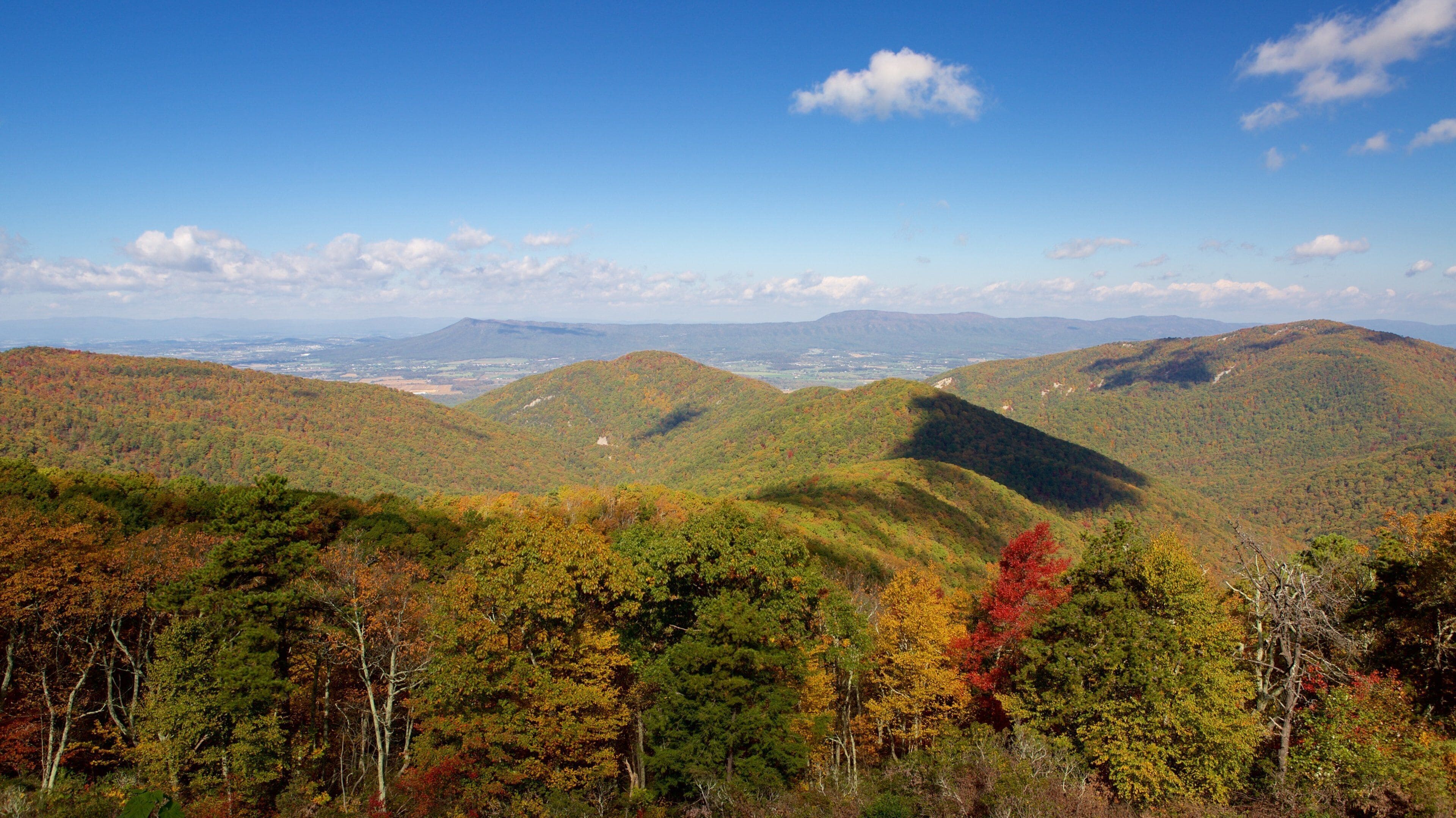 A mountainous landscape with autumn foliage.