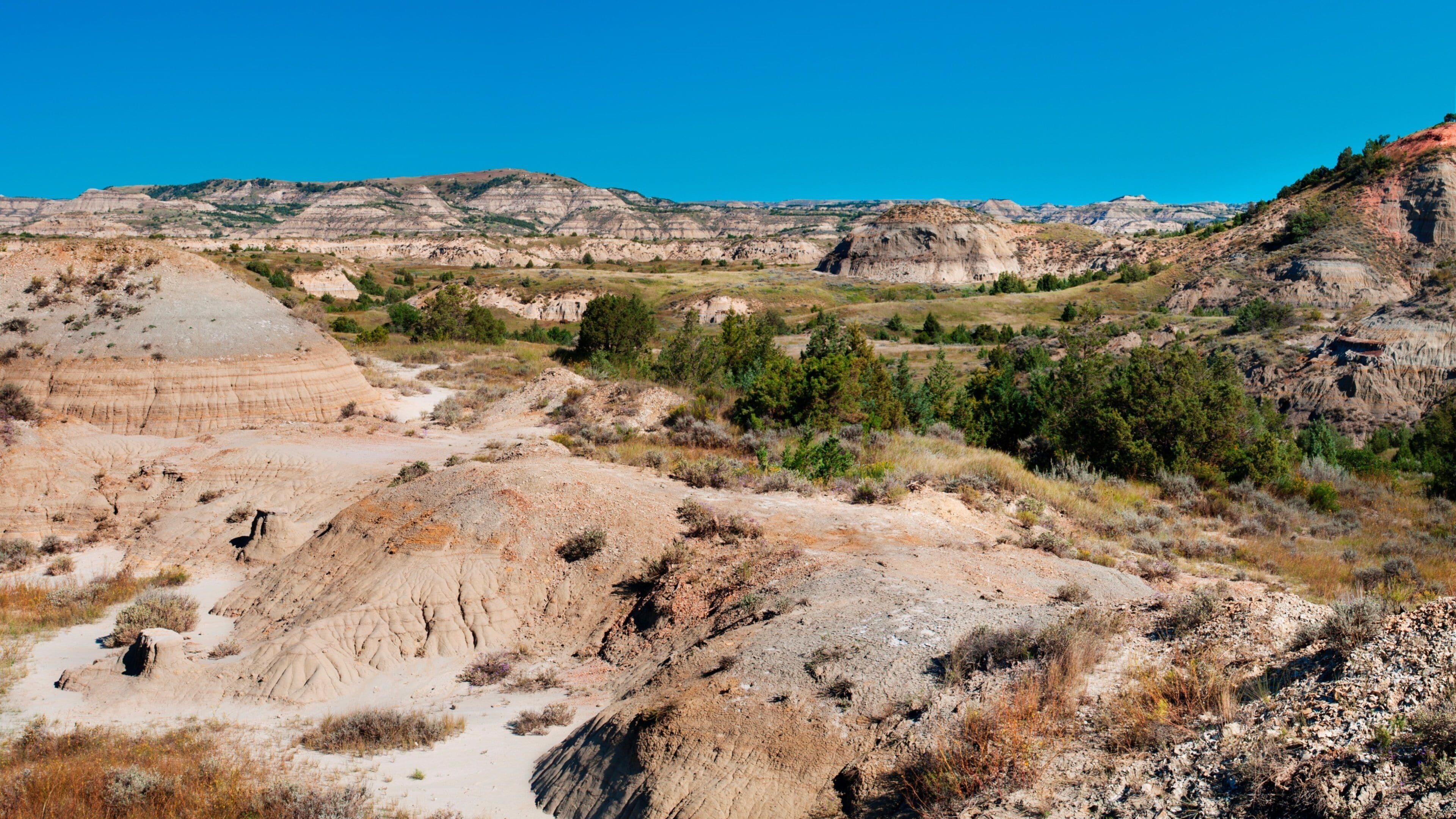 A rugged landscape with layered rock formations, sparse vegetation, and distant hills under a clear blue sky.